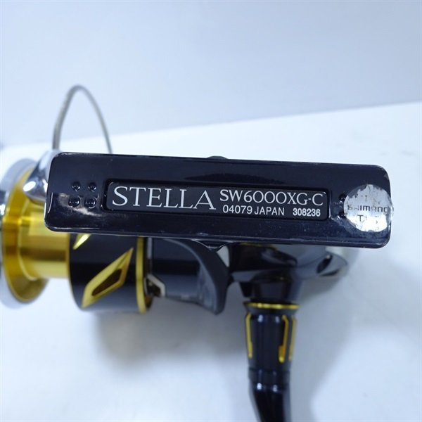 ２０ステラＳＷ6000XG